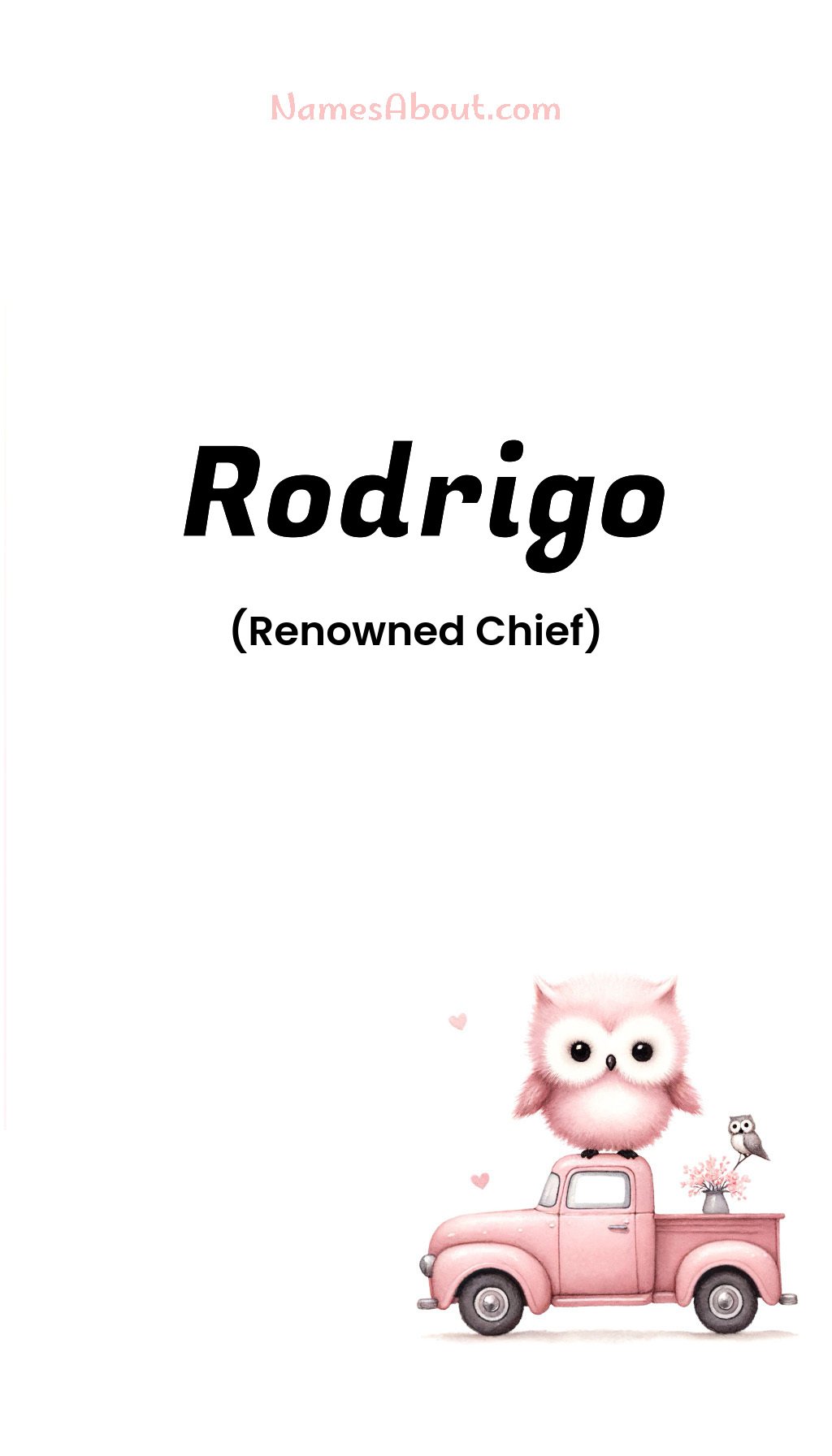 Rodrigo name and meaning