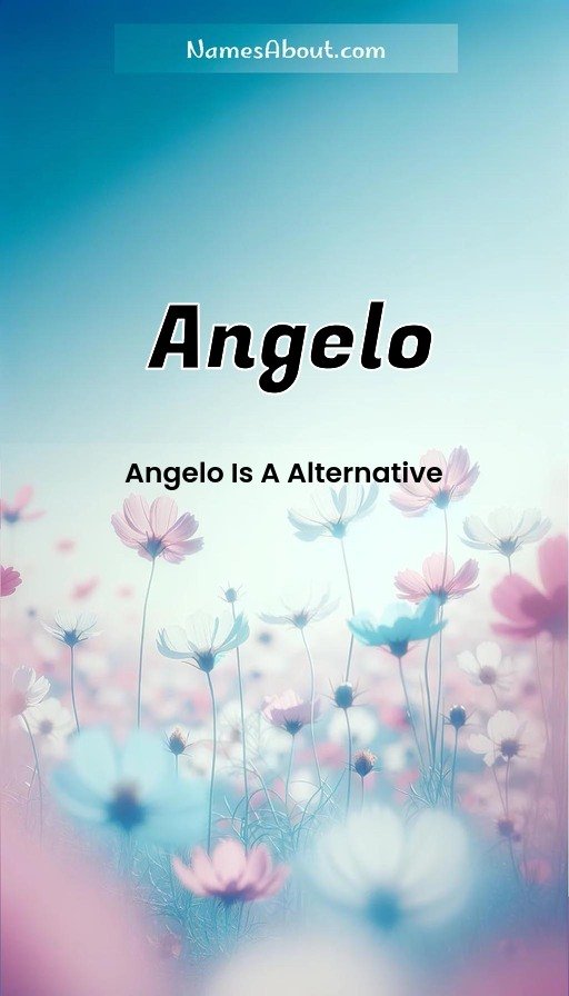 Meaning of Angelo