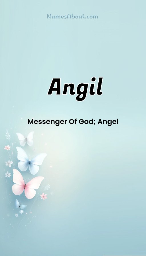 Meaning of Angil