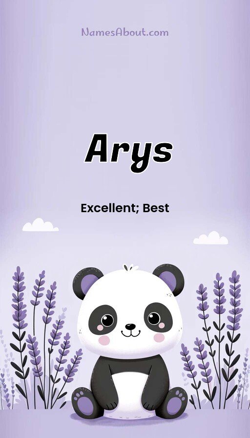 Meaning of Arys