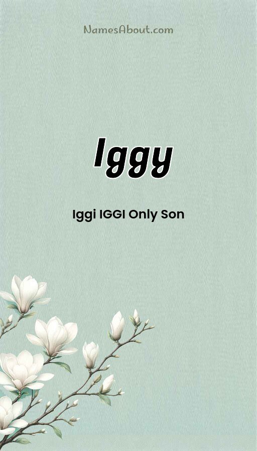 Meaning of Iggy