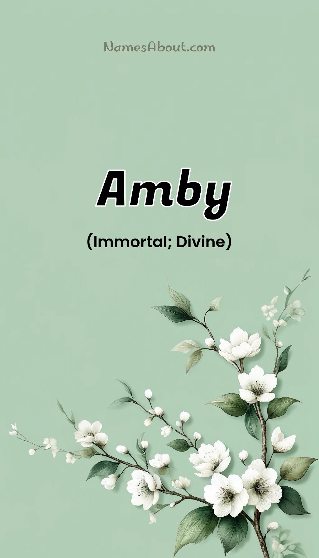 Amby name and meaning