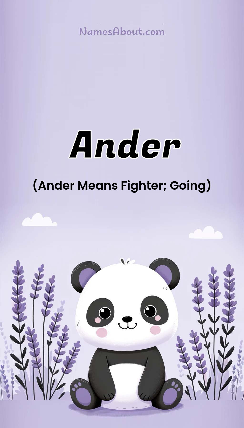 Ander name and meaning