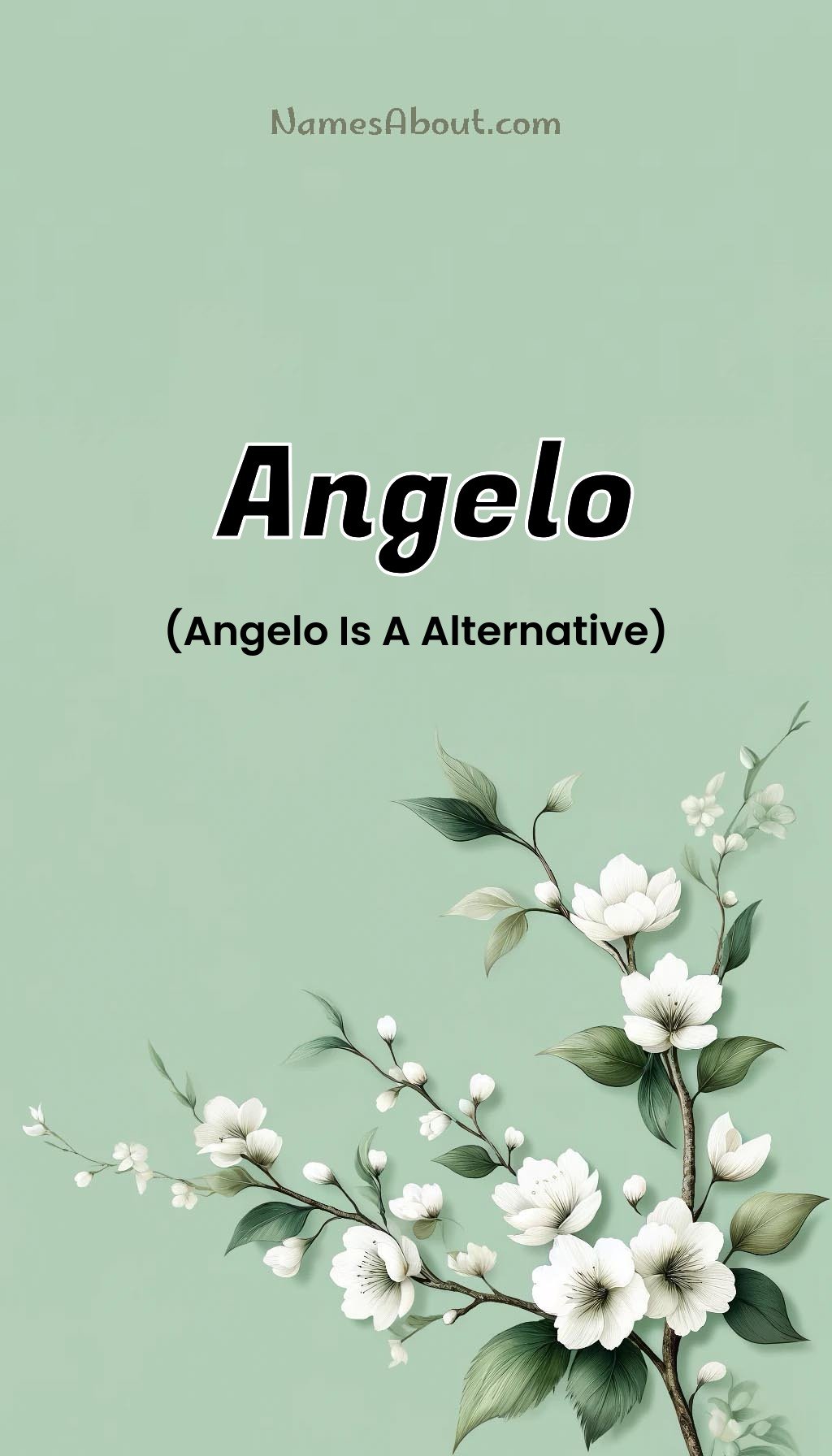 Angelo name and meaning