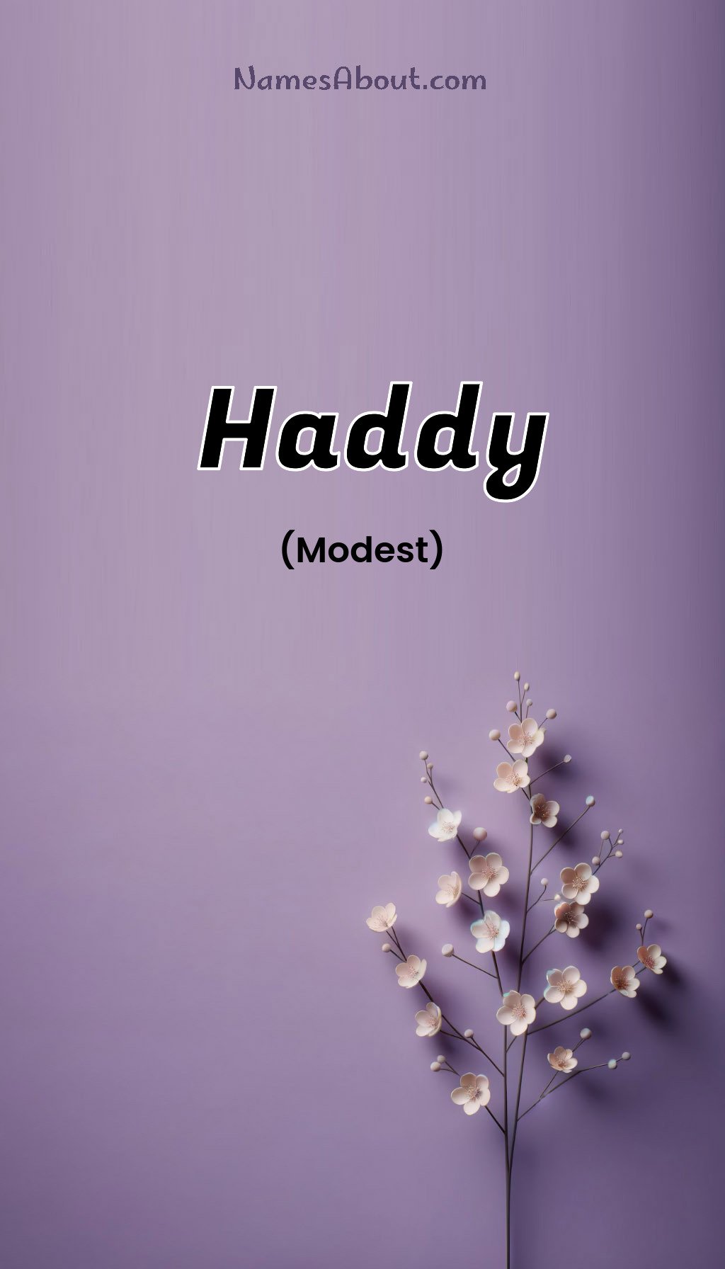 Haddy name and meaning