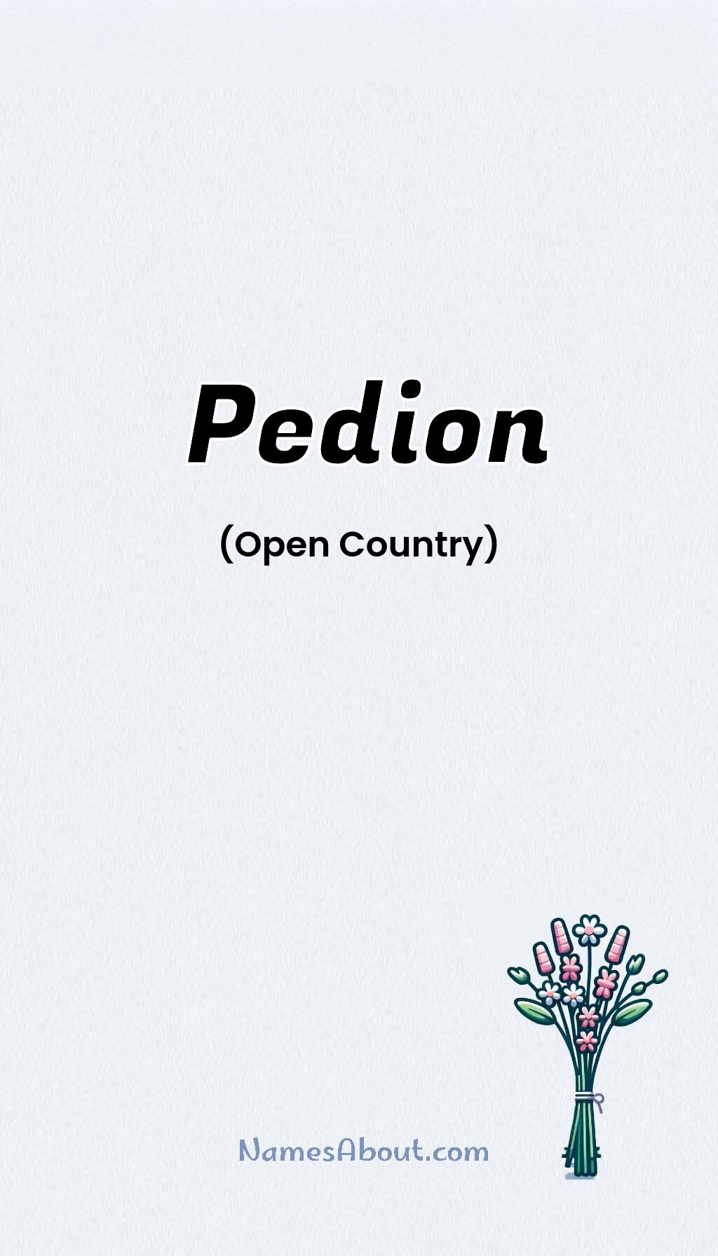 Pedion name and meaning