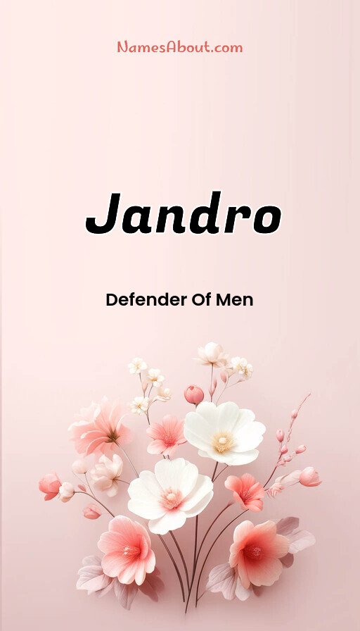 Meaning of Jandro