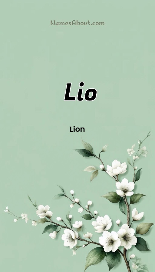 Meaning of Lio