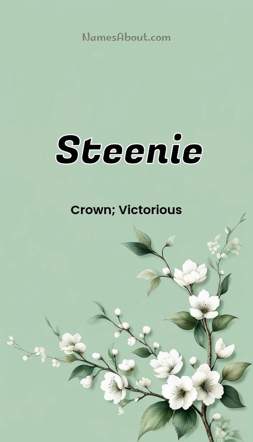 Meaning of Steenie