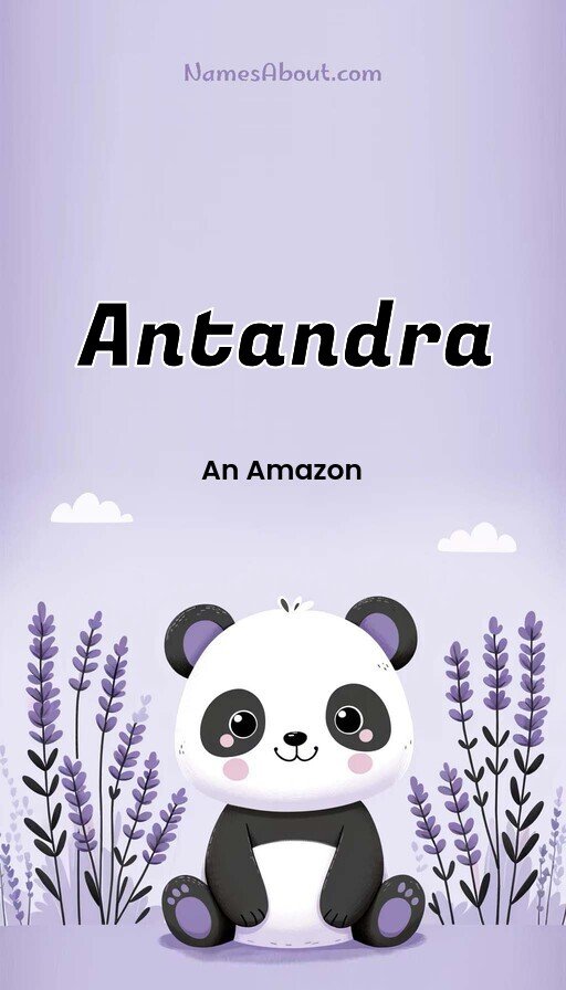 Meaning of Antandra