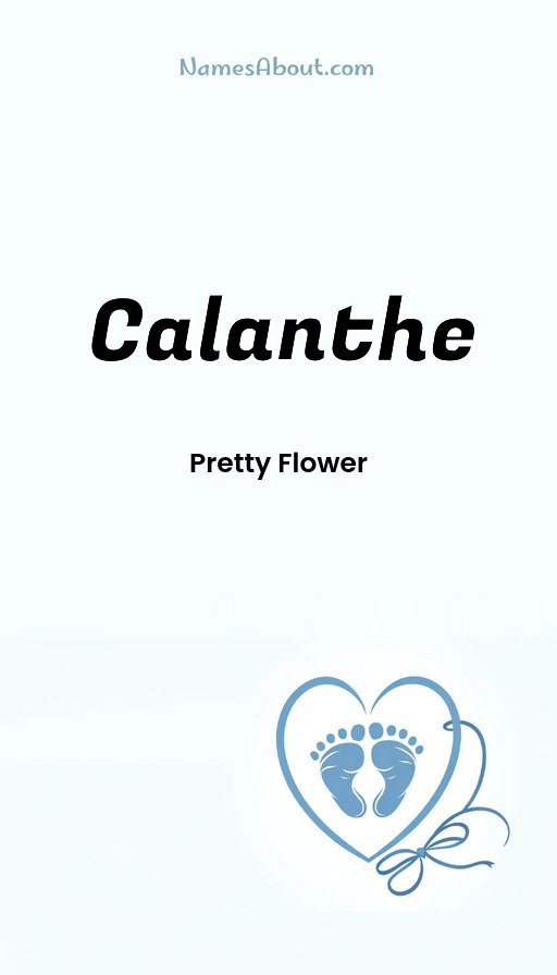 Meaning of Calanthe