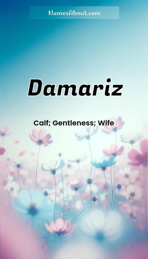 Meaning of Damariz