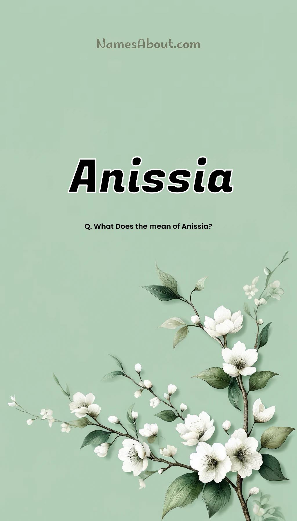 Anissia name and meaning