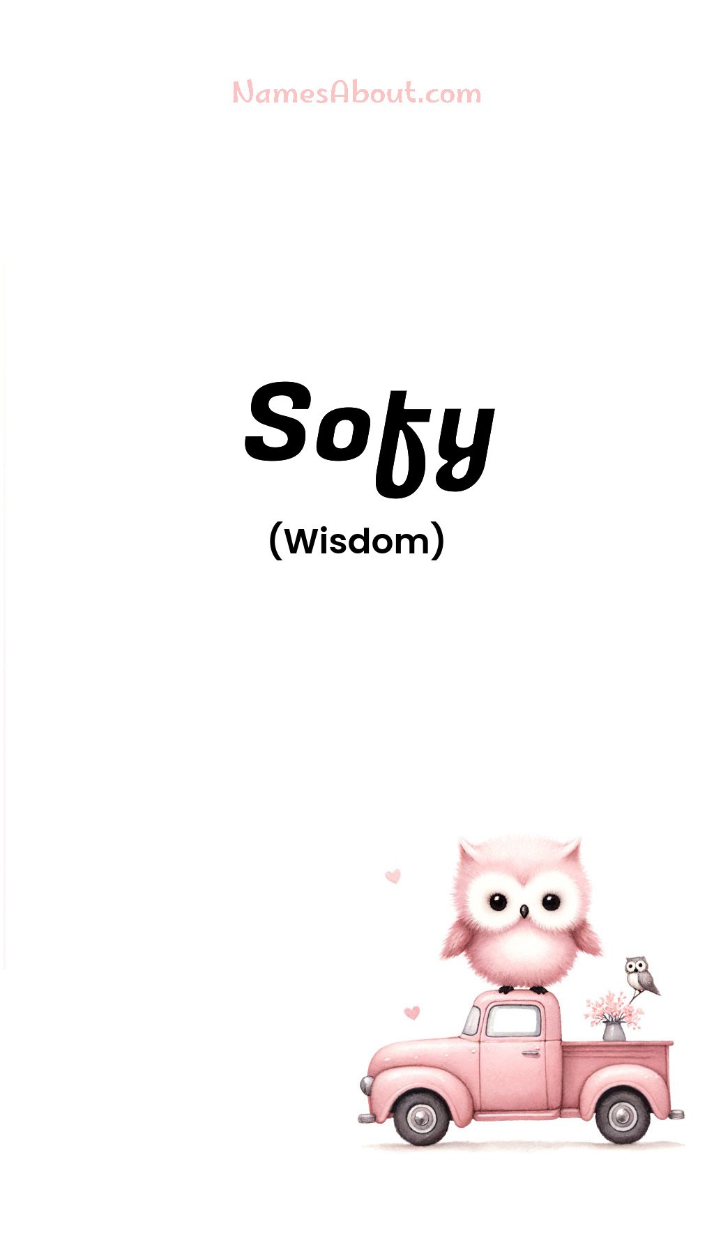 Sofy name and meaning