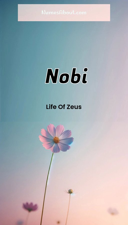 Meaning of Nobi