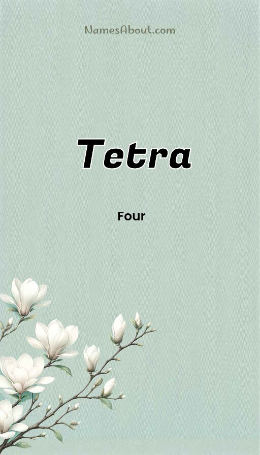 Meaning of Tetra