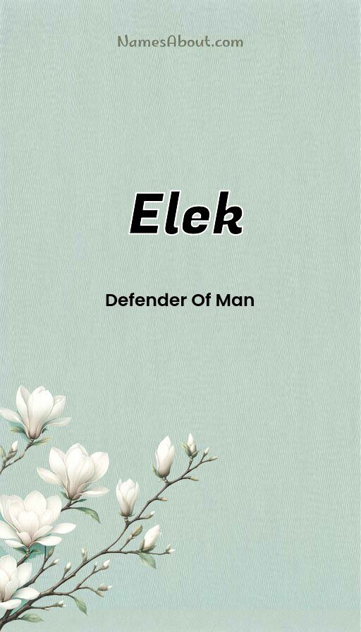 Meaning of Elek