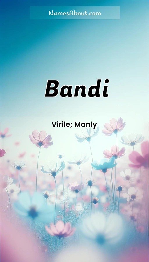 Meaning of Bandi
