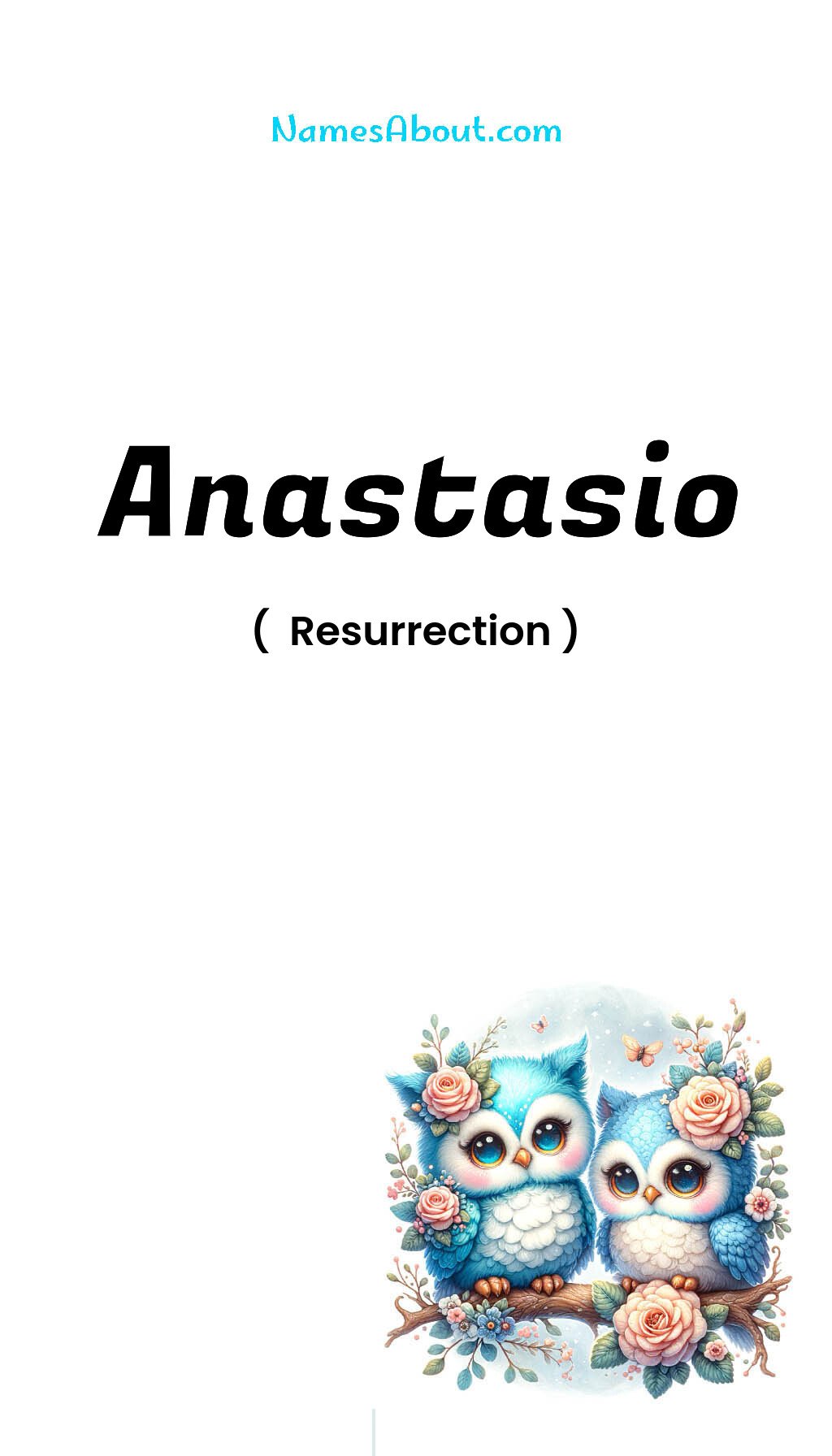 Anastasio name and meaning