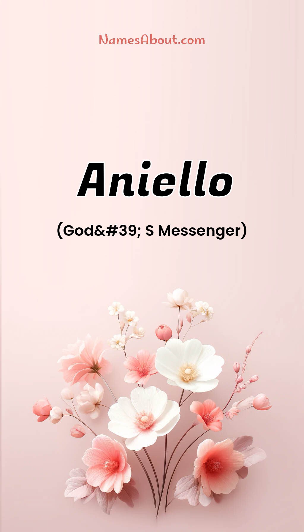 Aniello name and meaning