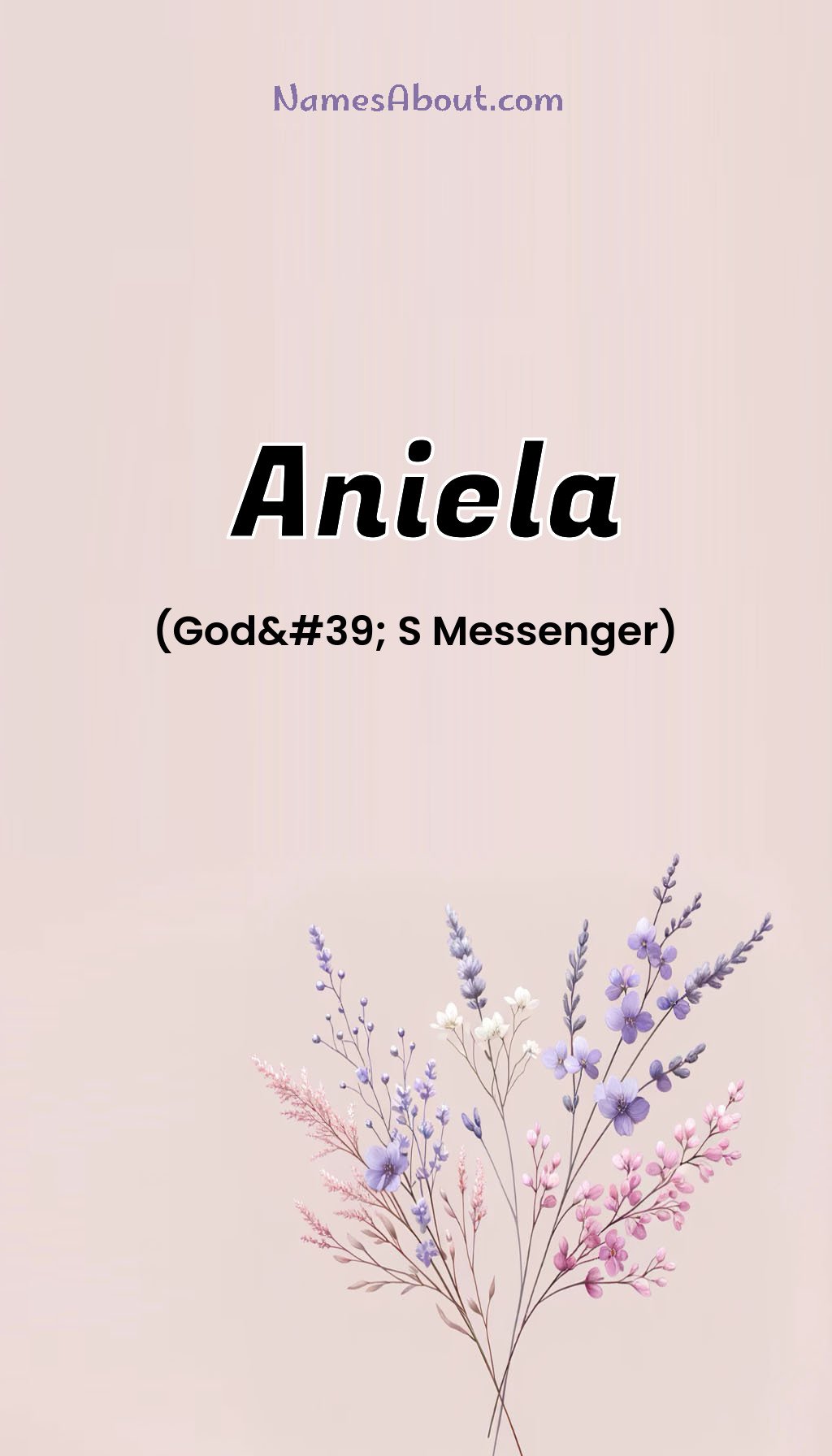 Aniela name and meaning