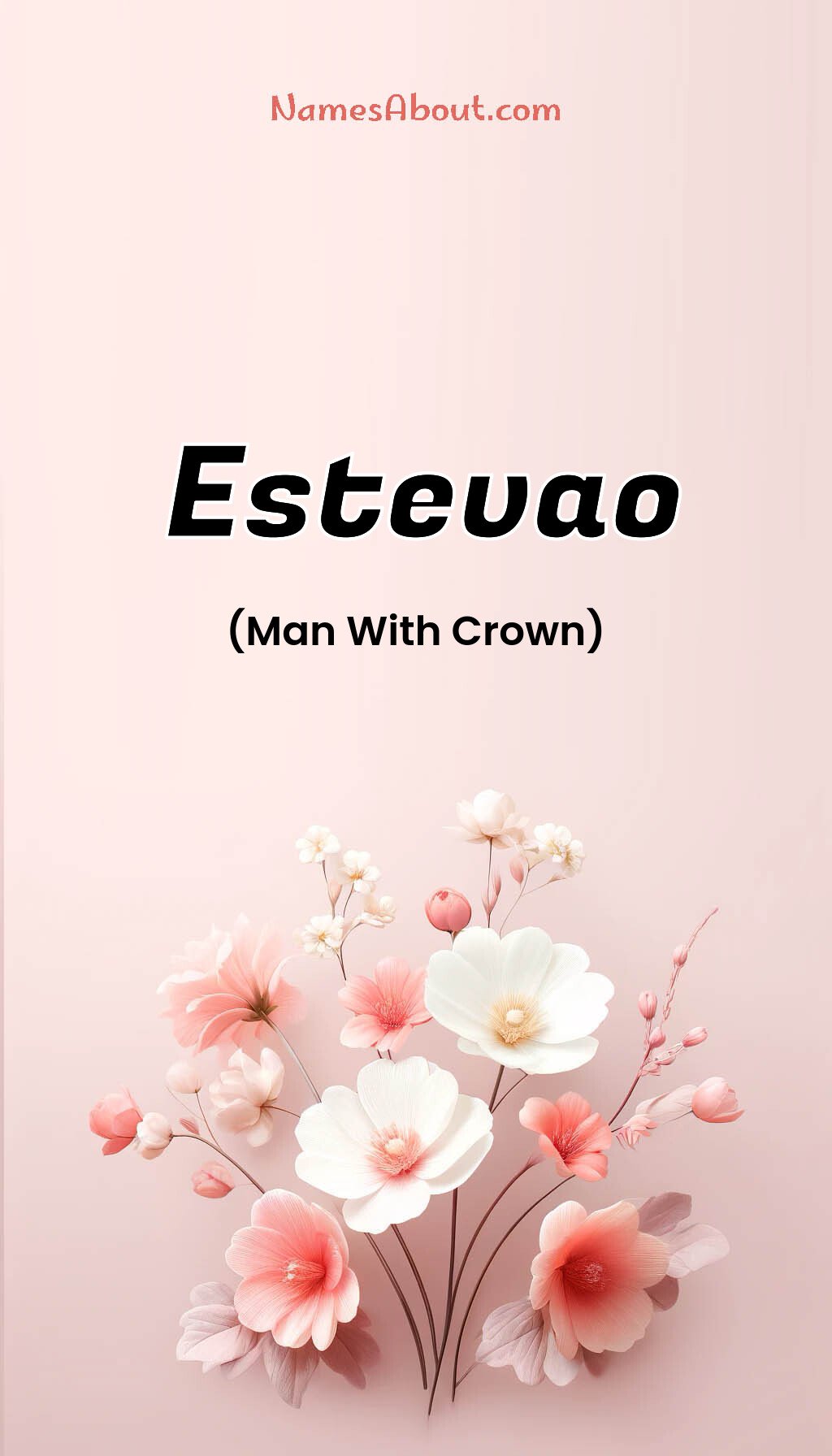 Estevao name and meaning