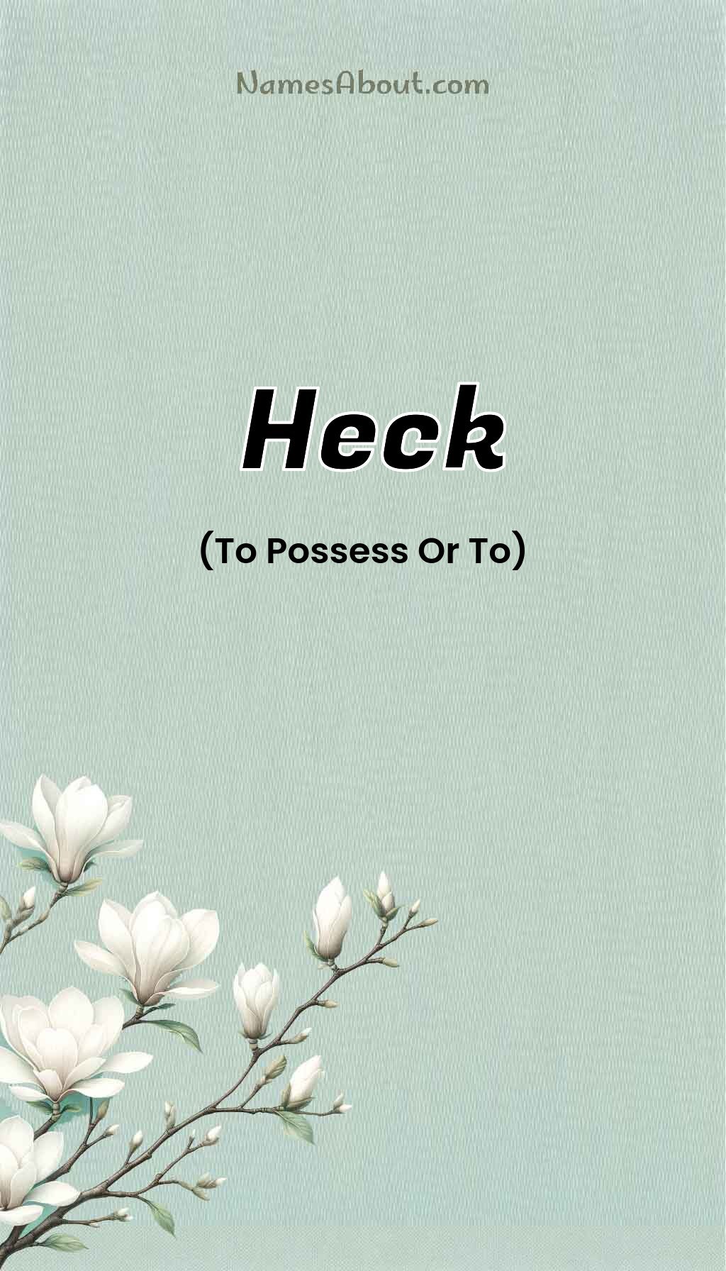 Heck name and meaning