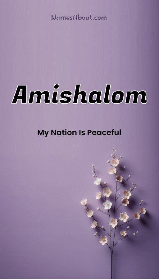Meaning of Amishalom