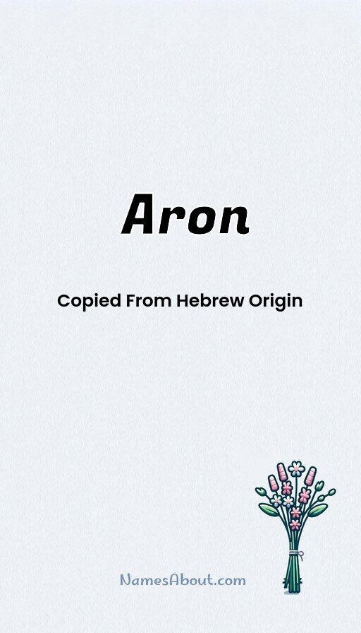 Meaning of Aron