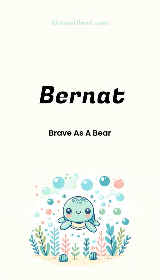 Illustration of Bernat