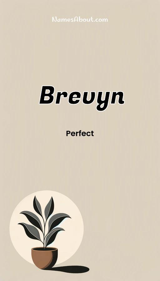 Brevyn name and meaning