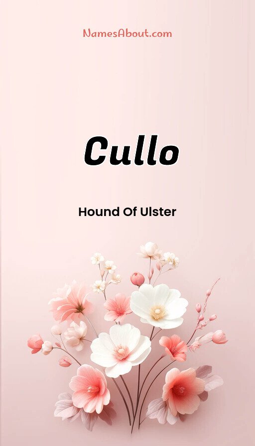 Meaning of Cullo