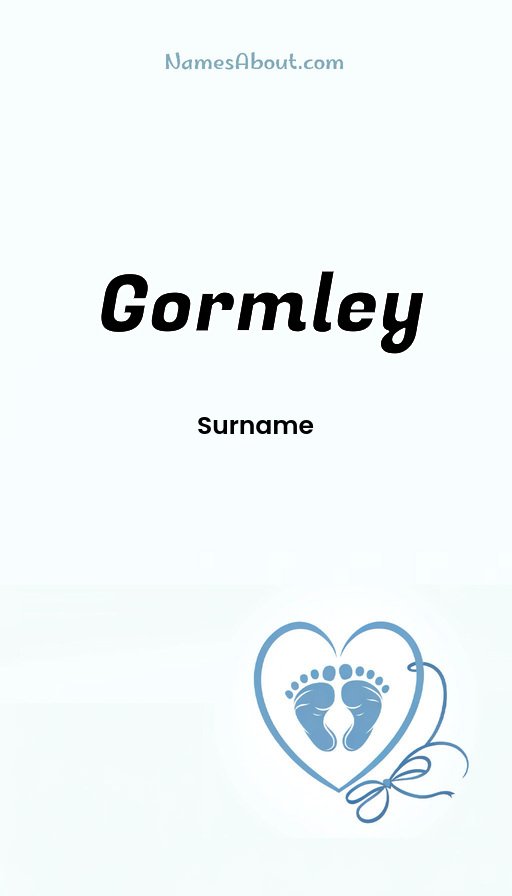Meaning of Gormley