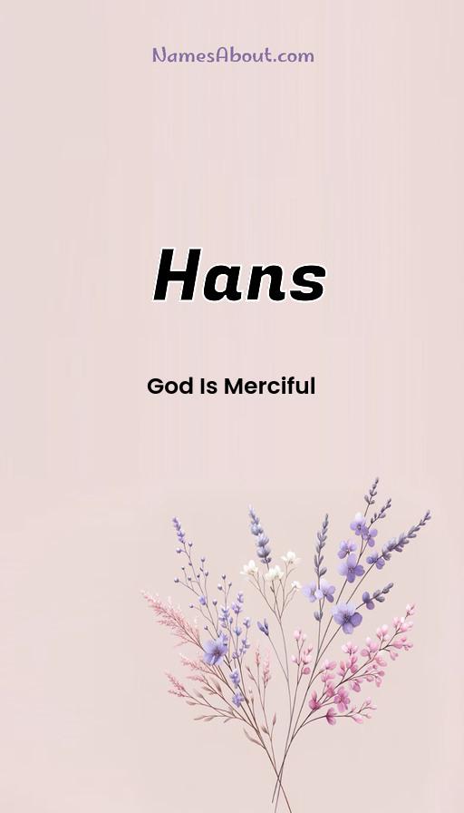 Meaning of Hans