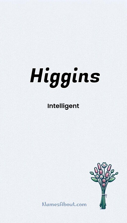 Meaning of Higgins