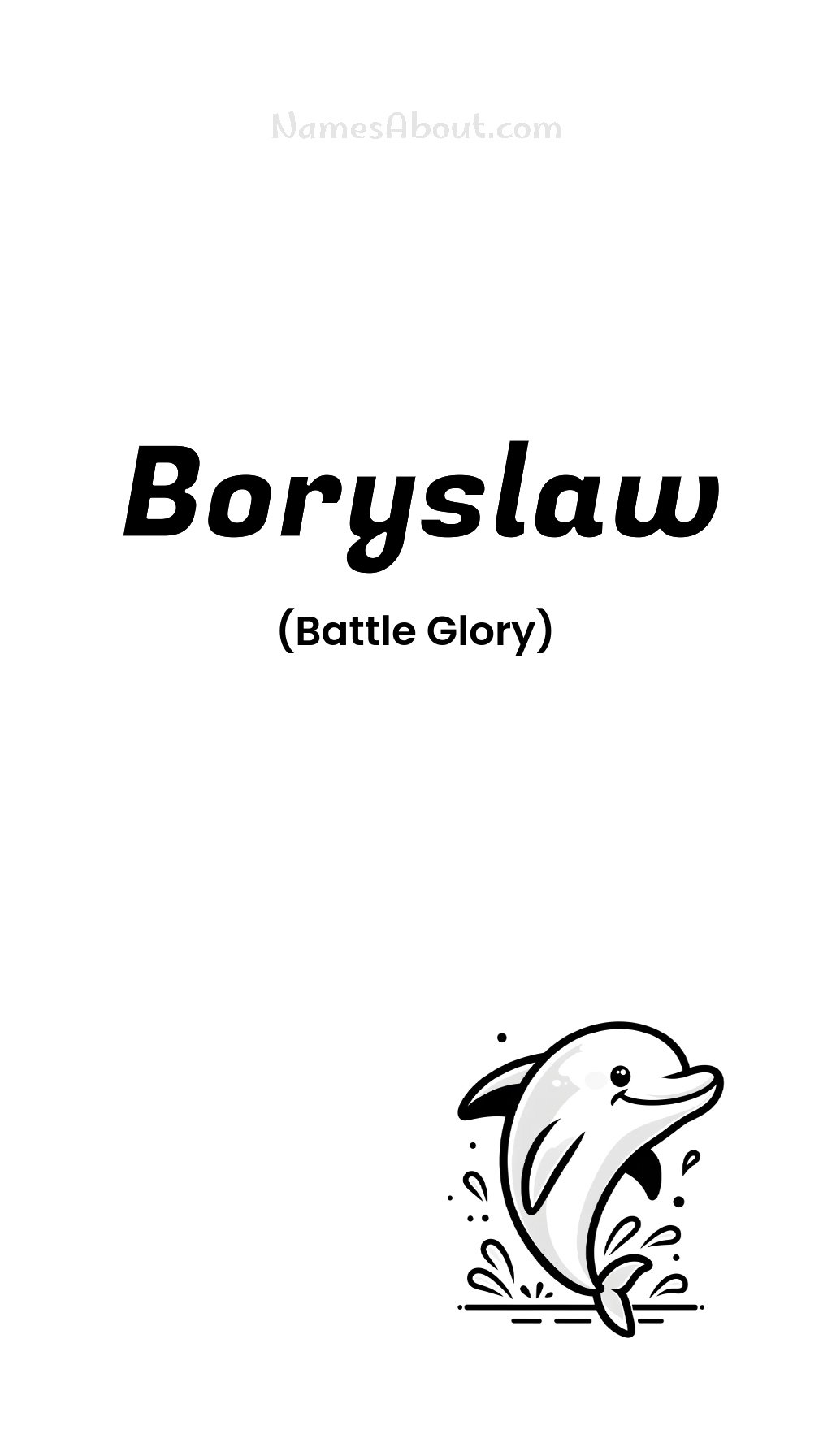 Boryslaw name and meaning