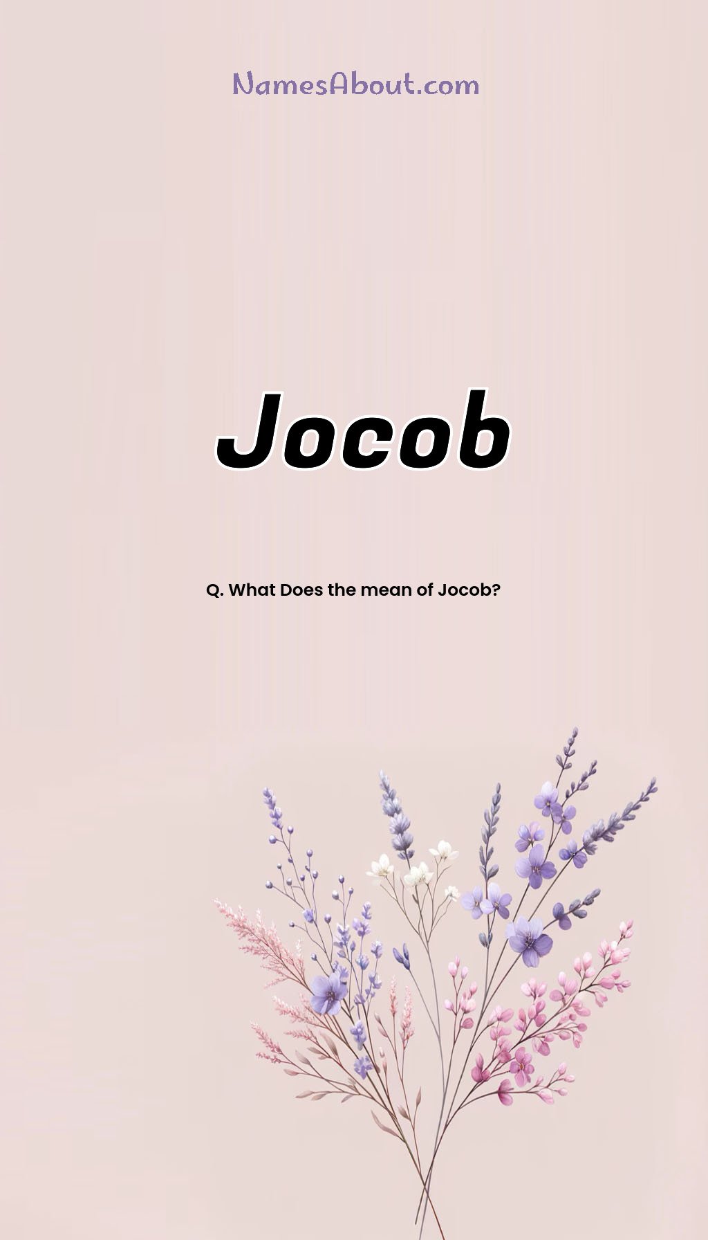 Jocob name and meaning