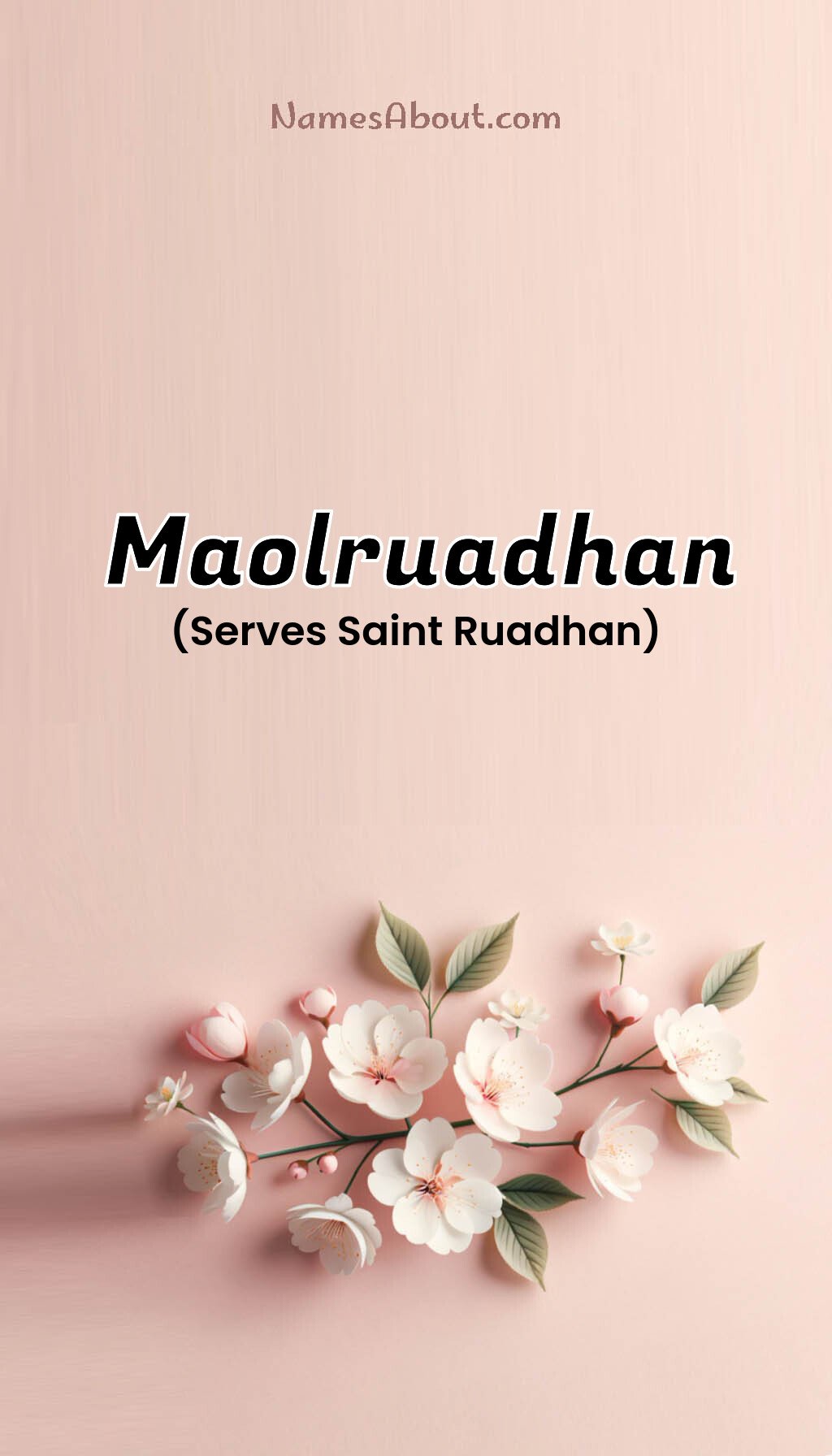 Maolruadhan name and meaning