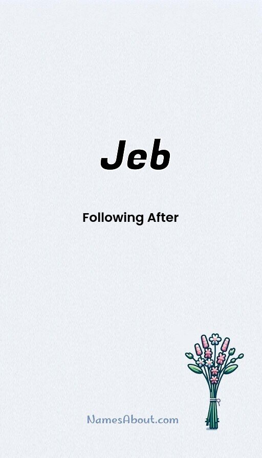 Meaning of Jeb