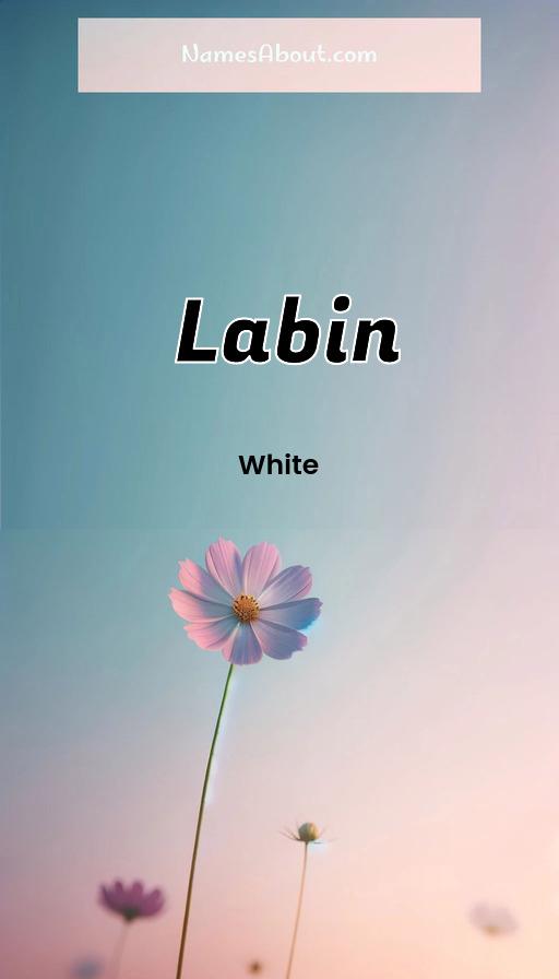 Labin name and meaning