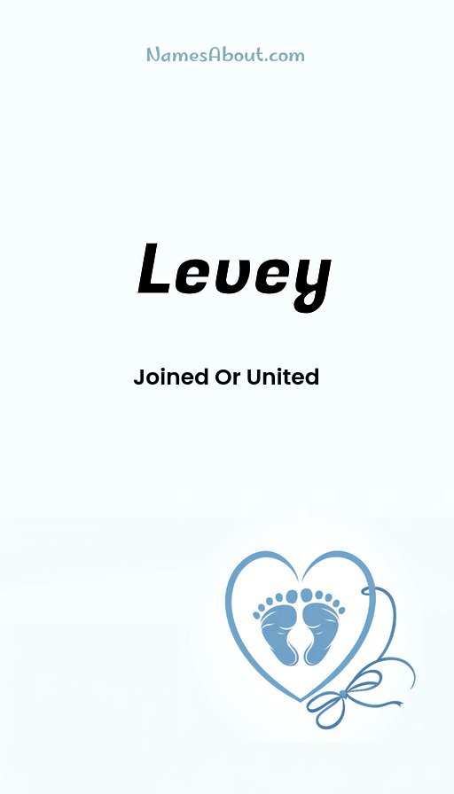 Meaning of Levey