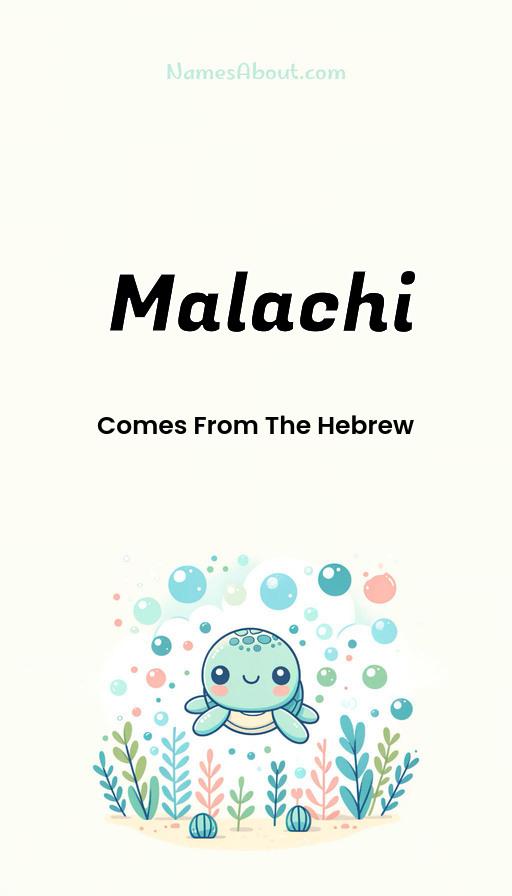 Illustration of MalAchi