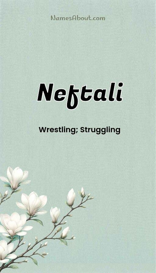 Meaning of Neftali