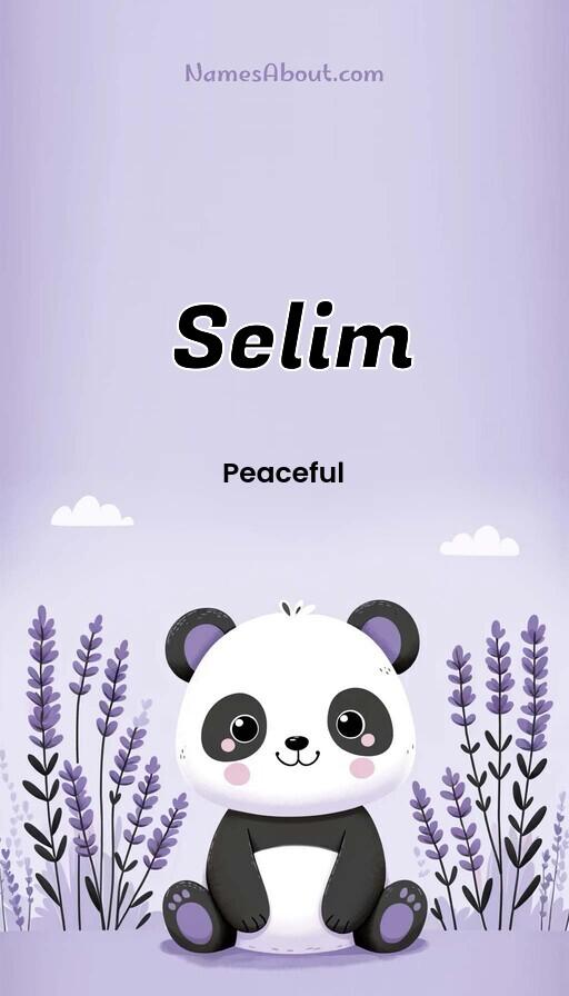 Illustration of Selim