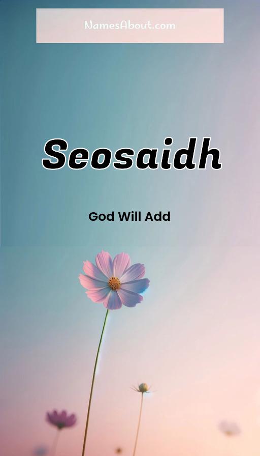 Meaning of Seosaidh