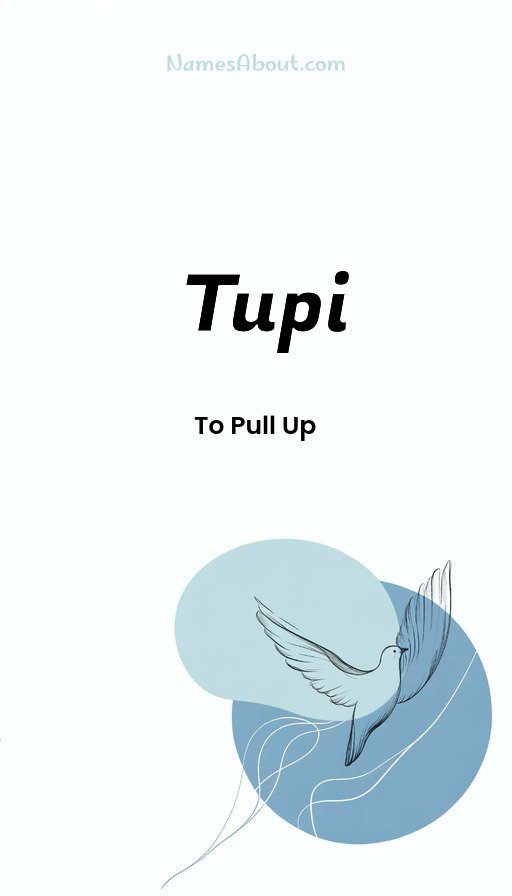 Meaning of Tupi