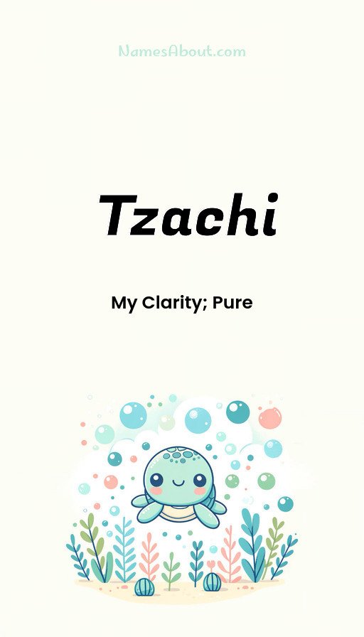 Meaning of Tzachi