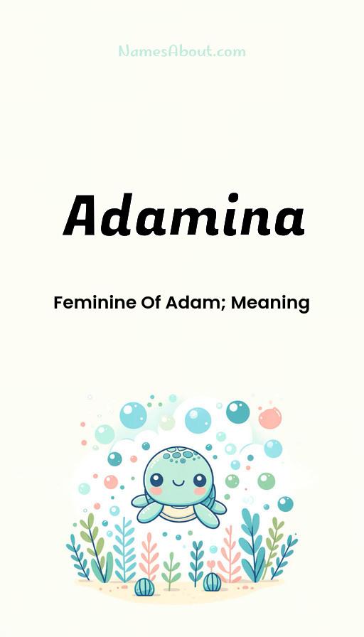 Illustration of Adamina