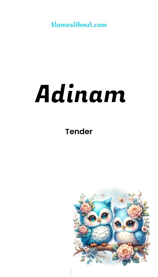 Meaning of Adinam