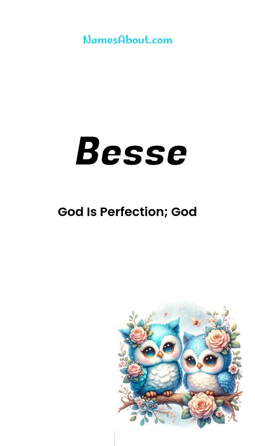 Meaning of Besse